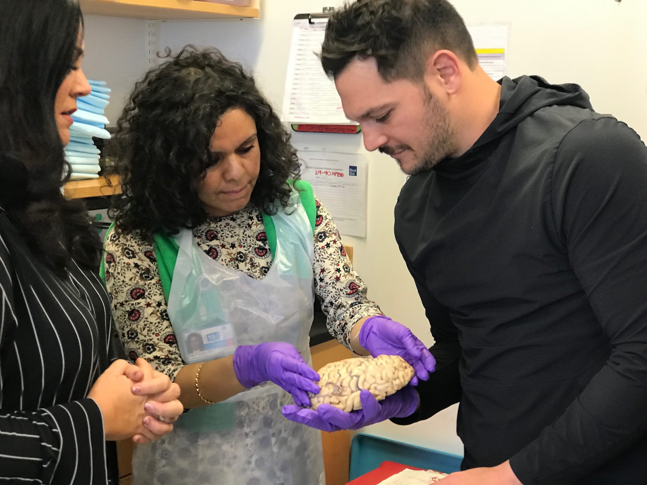 Examining a brain in a lab