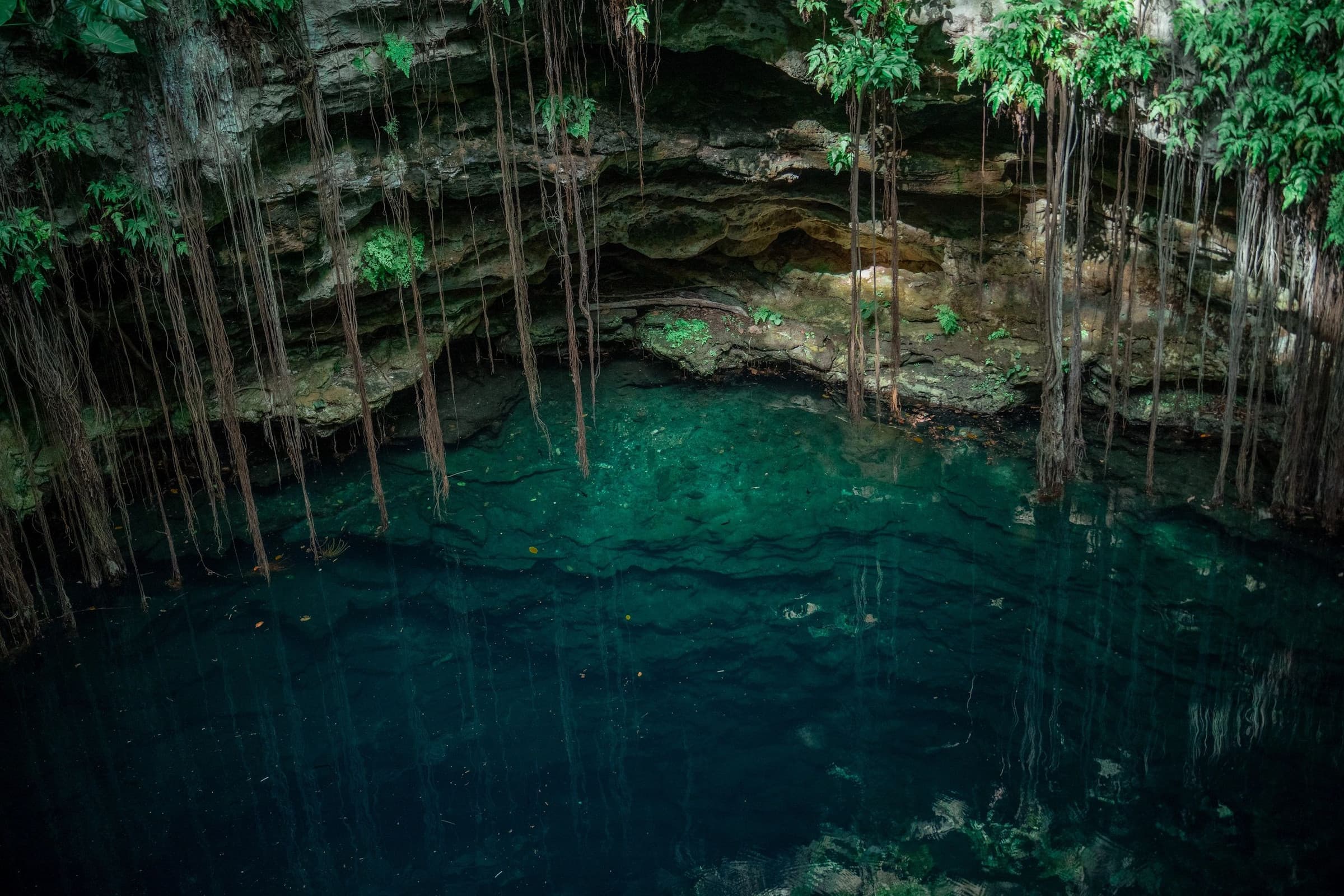 Below the Limestone, Yucatán