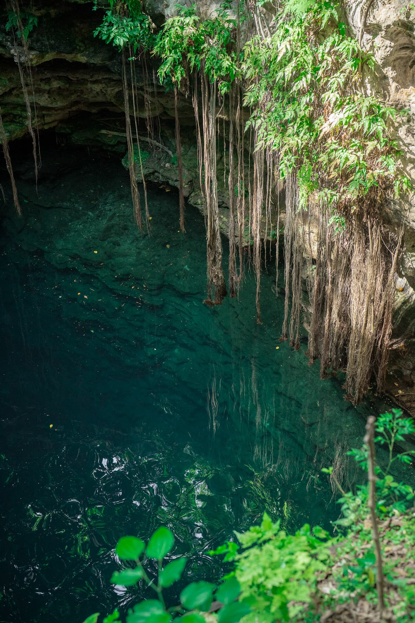 Emergence, Bat Cave Yucatán