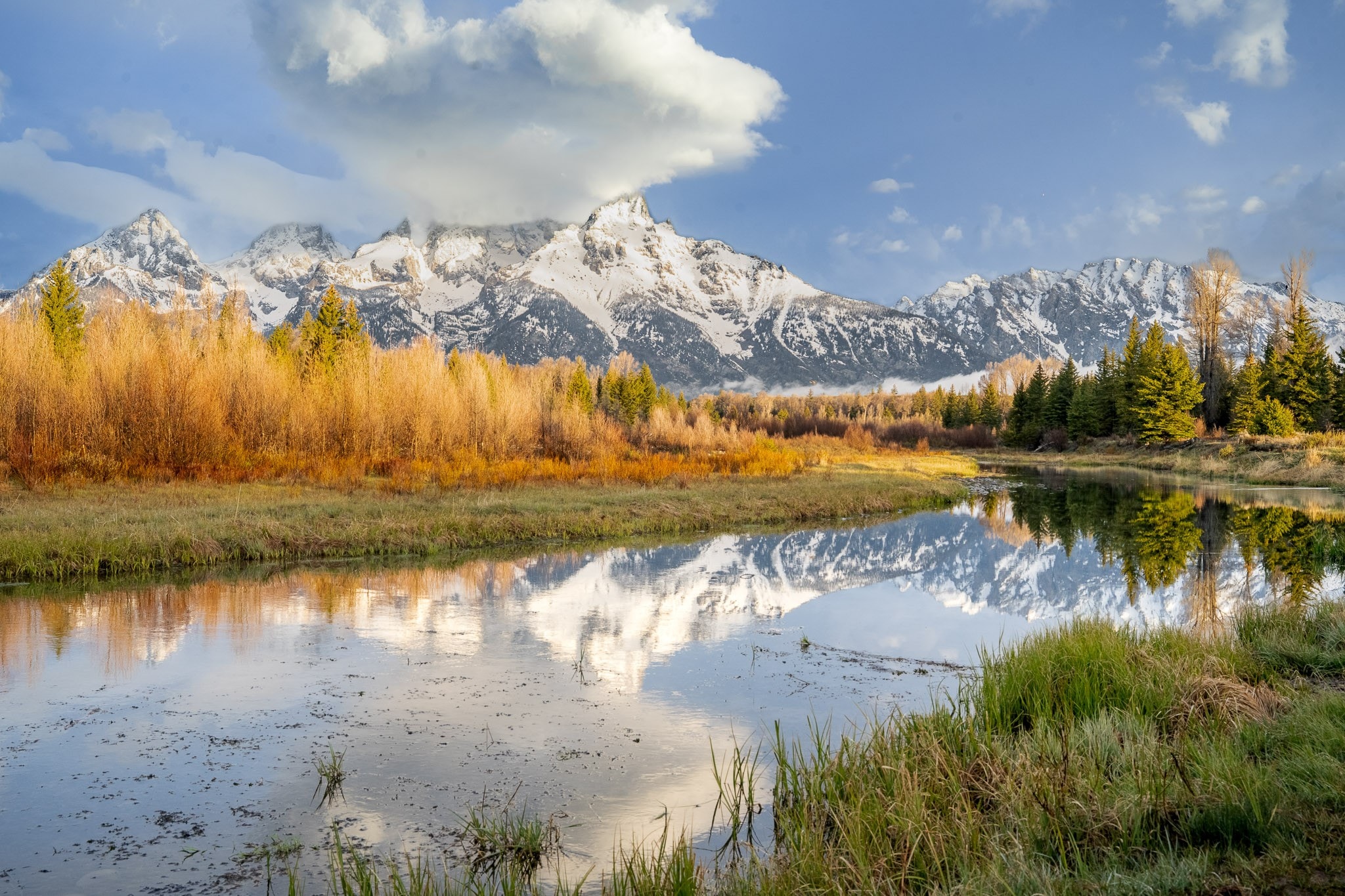 Morning, Snake River Bend